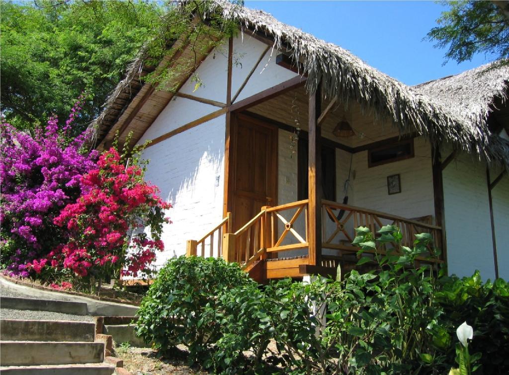 Hosteria La Terraza Puerto López Rum bild